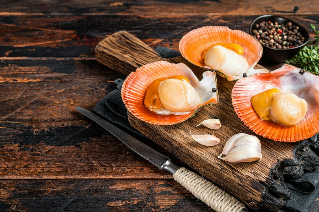 Fresh raw Scallops in shells on a rustic wooden board with thyme. Dark wooden background