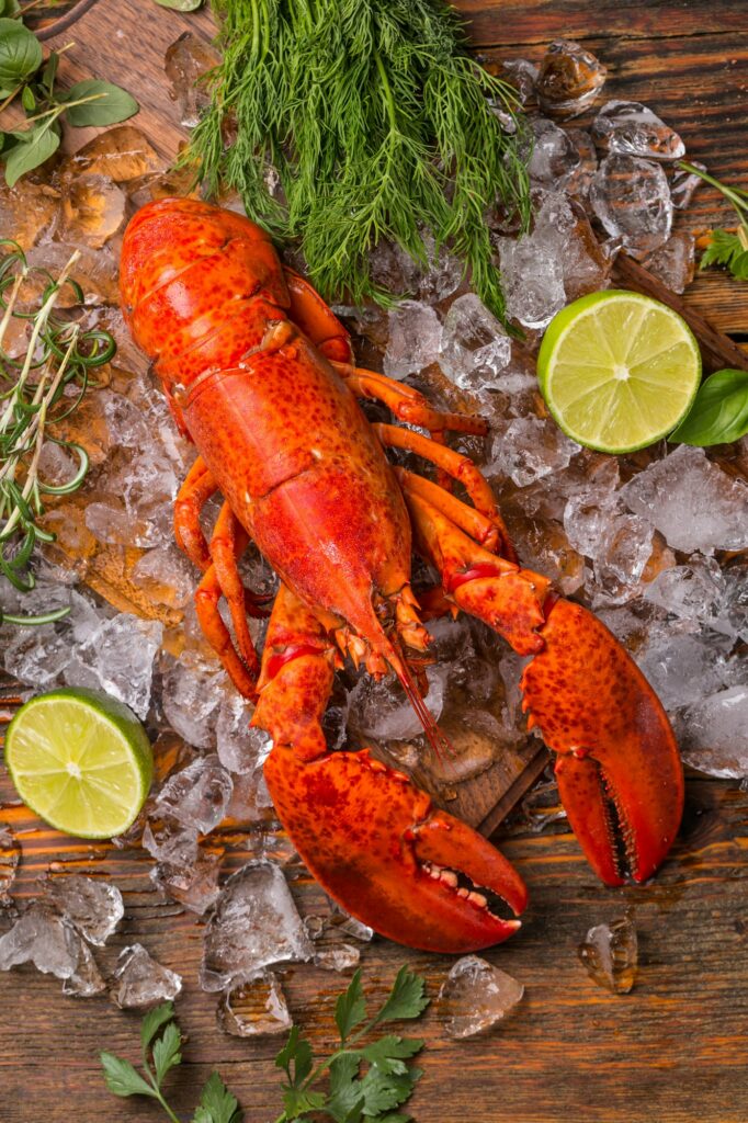 Lobster on ice